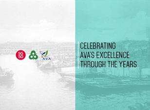 Celebrating AVA's Excellence Through the Years (2000-2015)